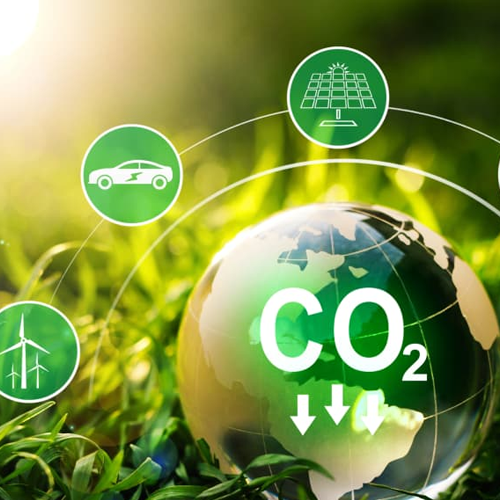 Carbon Footprints Carbon Footprints