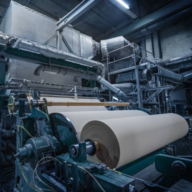 Pulp and Paper Pulp and Paper
