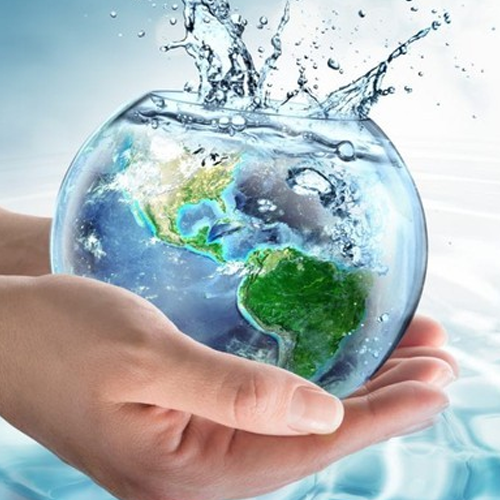 Waste Audit Waste Audit